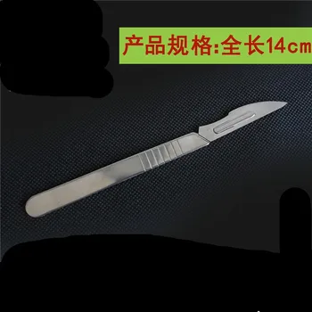 биологический скальпель 1шт.
Оцинкованный железный 
Нож
Принадлежности для биологических экспериментов
Учебное оборудование