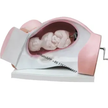 Модель обучения навыкам акушерских родов Leopold Birthing Training Simulator