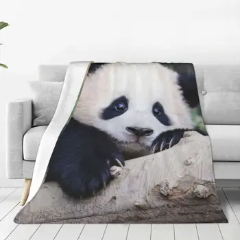 Одеяло FuBao Panda Fu Bao из мягкого плюша, декоративные покрывала для постельного белья по доступным ценам