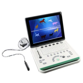 Портативный ультразвуковой сканер PRUS-S8000V используется ветеринарами