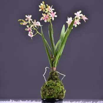 Розовая Орхидея Ванда 52 см Шелковый лепесток С корнем мха Искусственное Цветочное украшение чайного столика для вечеринки- INDIGO Design Pampas